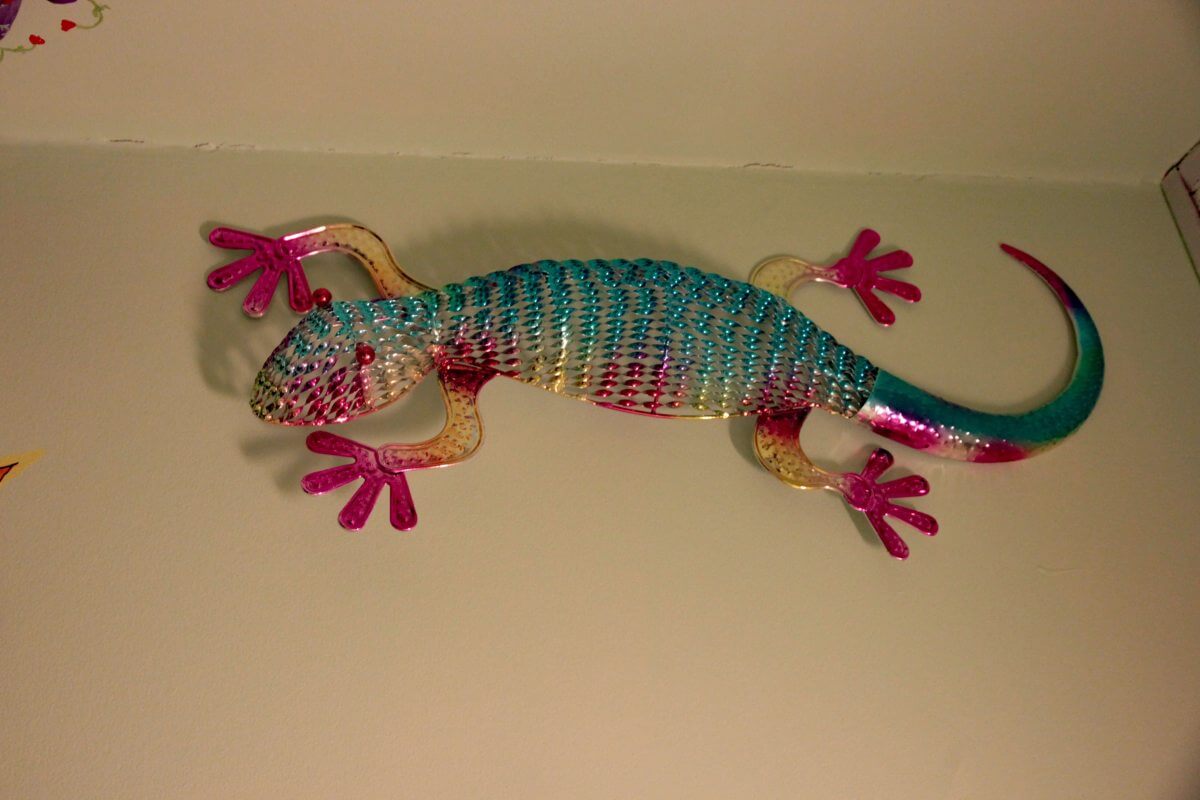 Lizard on office wall