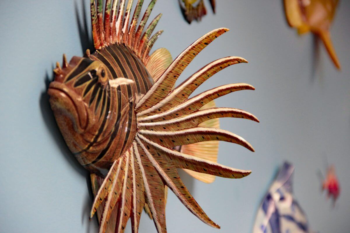 Ocean fish up close office decor